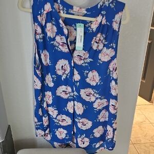 Daniel Rainn Blue Sleeveless Blouse with Mandarin Collar